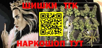 тгк Можга