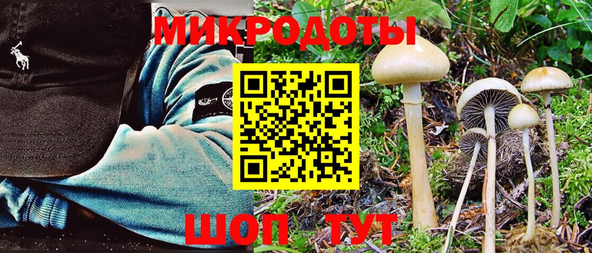 Удомля  магазин продажи наркотиков  Вход с VPN  Псилоцибиновые грибы прущие грибы 