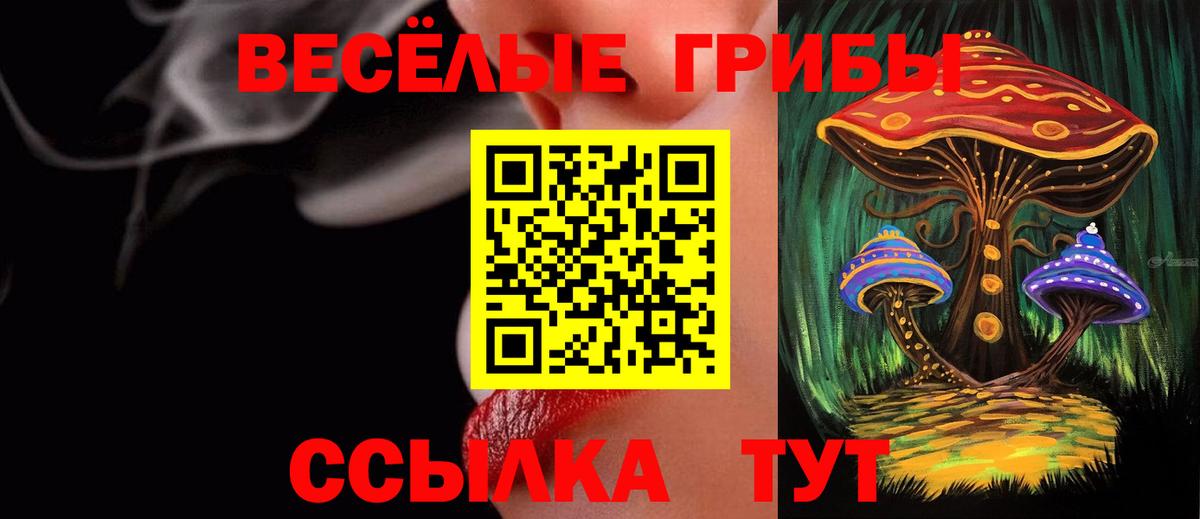 Псилоцибиновые грибы ЛСД Удомля